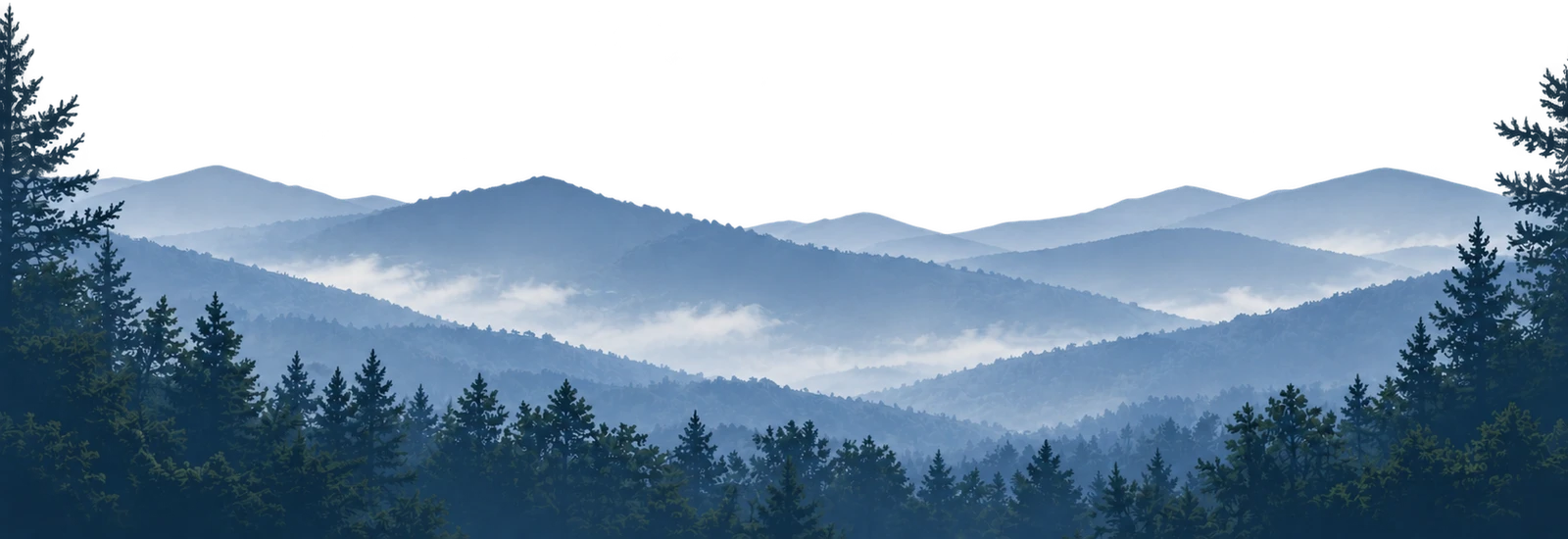 bg-graphic