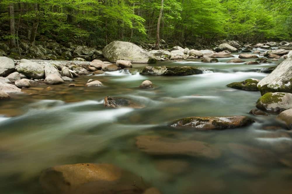 8 of the Best Spots to Go Fishing Near Gatlinburg